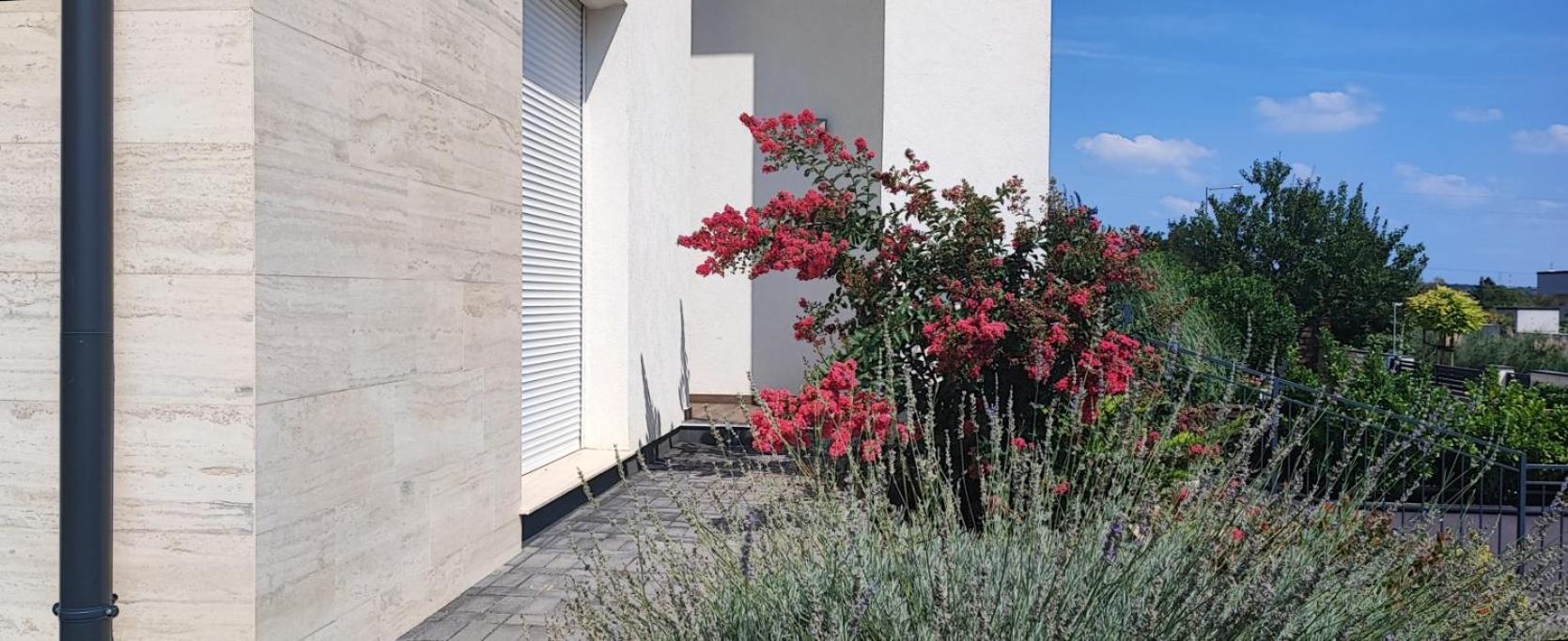 Ferienwohnung White Column House Diosd Exterior foto